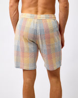 Multicolour Check Fig Seersucker Shorts