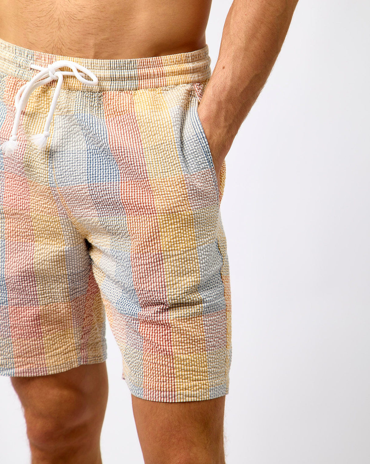Multicolour Check Fig Seersucker Shorts