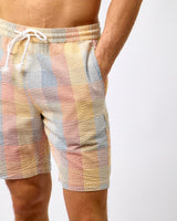 Multicolour Check Fig Seersucker Shorts