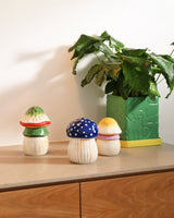 Blue Dolomite Magic Mushroom Jar