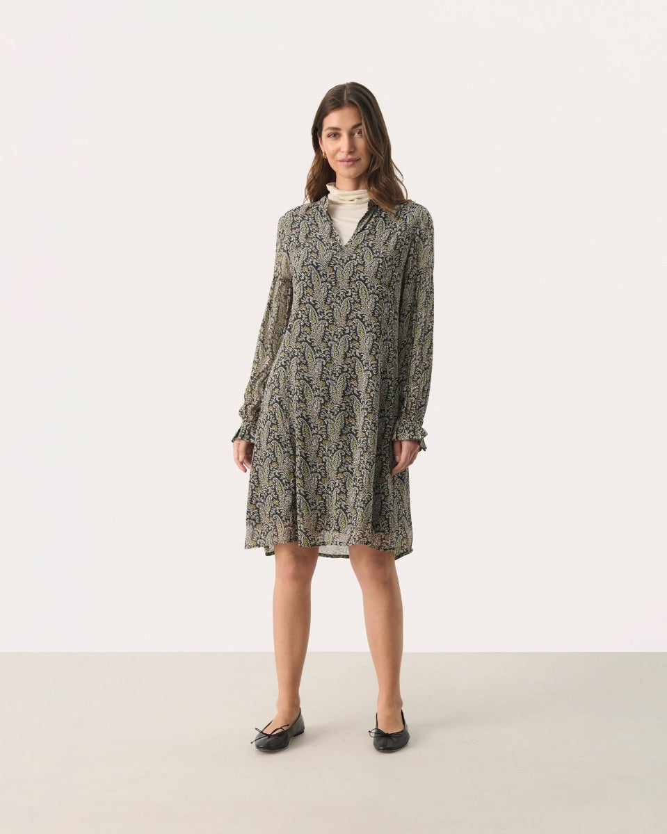 Rosin Paisley Print Botella Sheer Dress