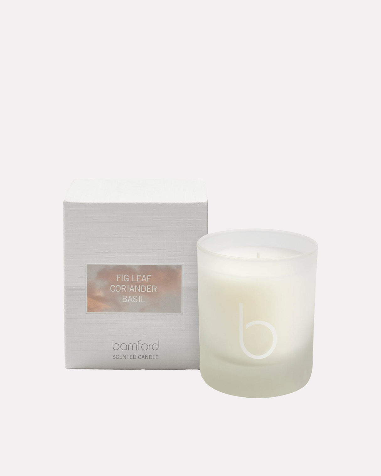 Fig-Leaf-1-Wick-Candle