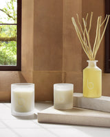 Rosemary 1 Wick Candle