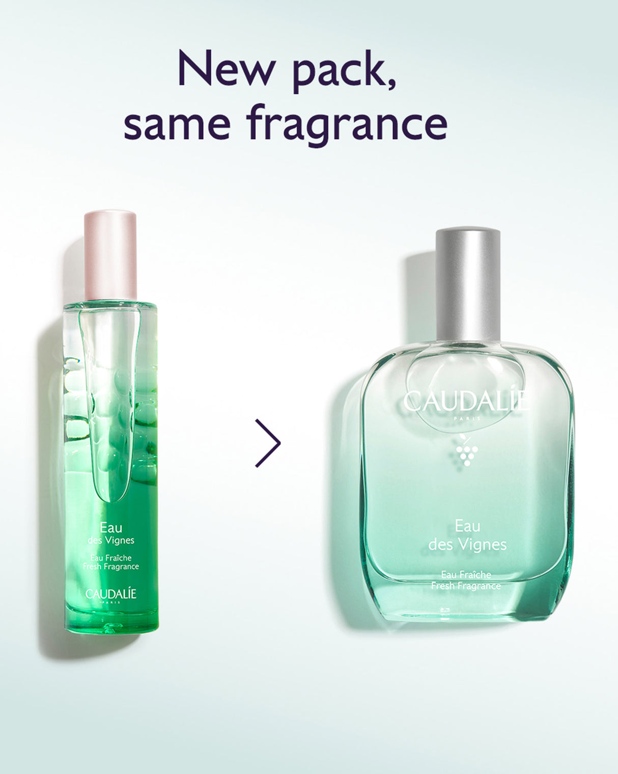 Eau des Vignes Eau Fraîche Fresh Fragrance