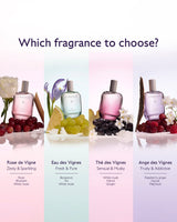 Eau des Vignes Eau Fraîche Fresh Fragrance