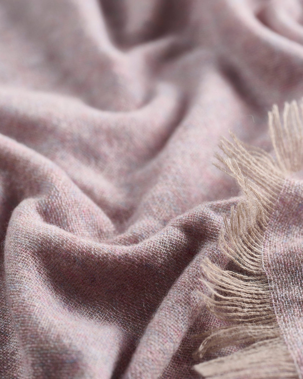 Lilac-100%-Cashmere-Scarf