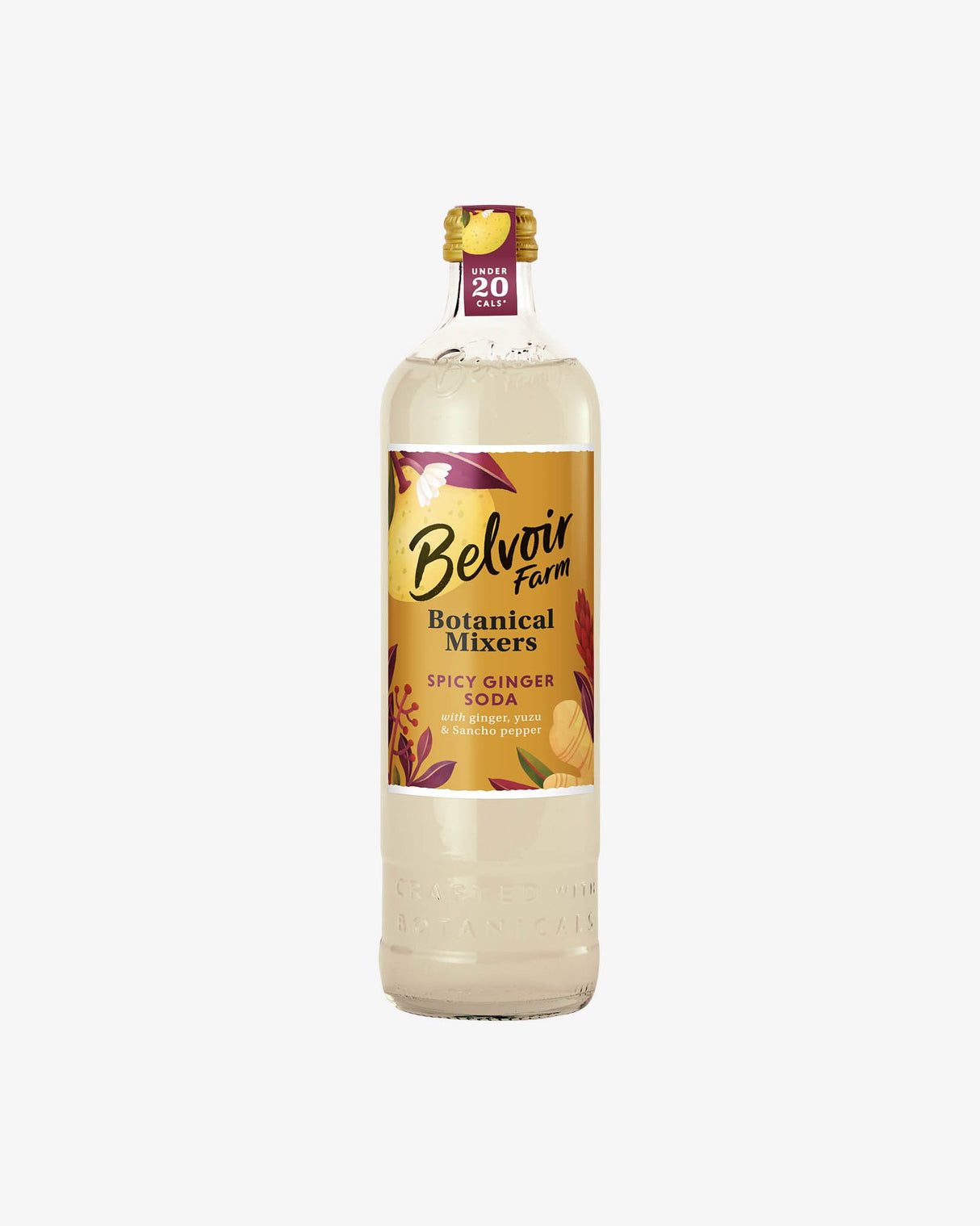 Belvoir Farm Botanical Spicy Ginger Fizz