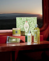 Uplift-Invigorate-Verbena-Collection-2024
