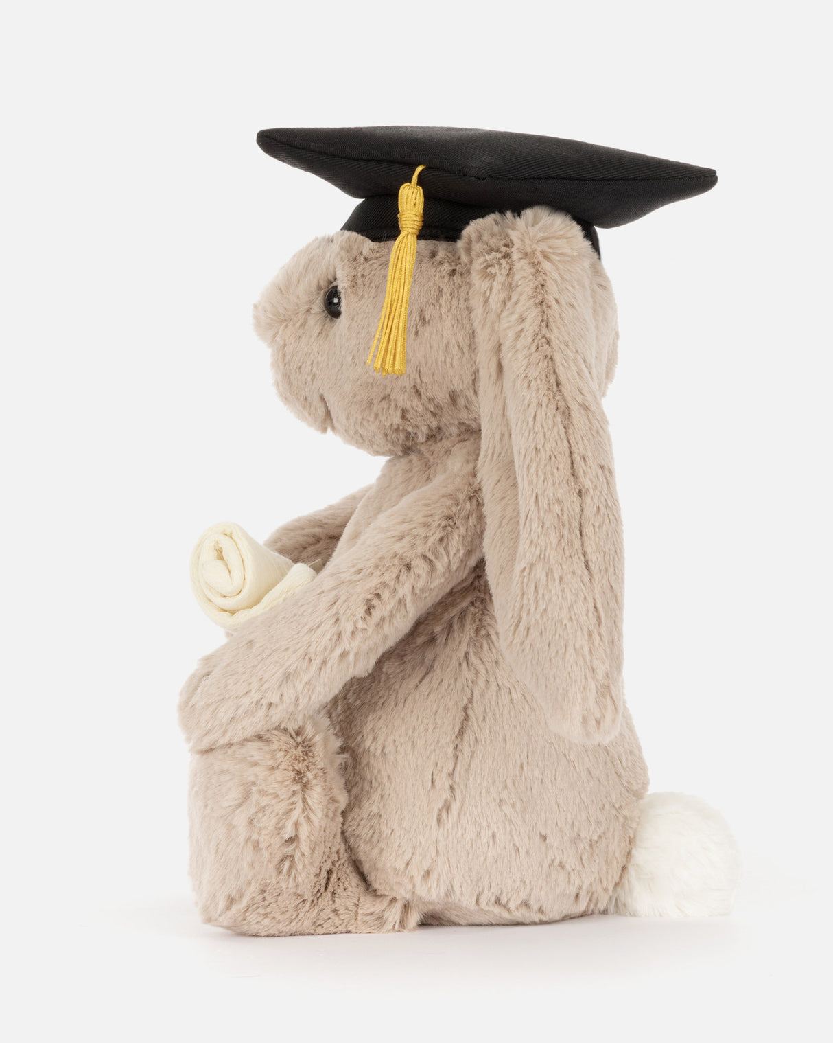 Bashful Bunny Graduation