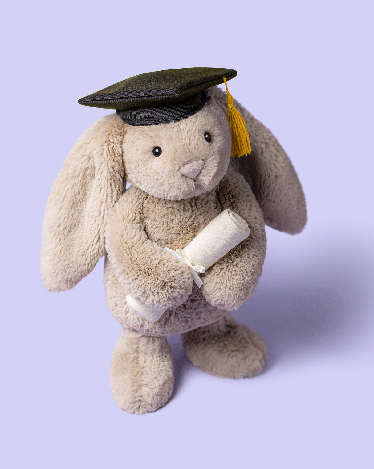 Bashful Bunny Graduation