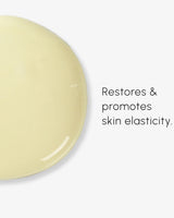 Seabody Overnight Elixir Serum