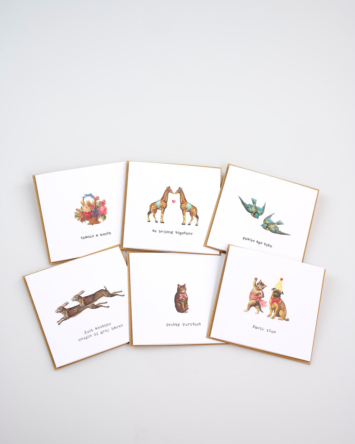 Assorted Greeting Card Favourites Collection - Pack of 6