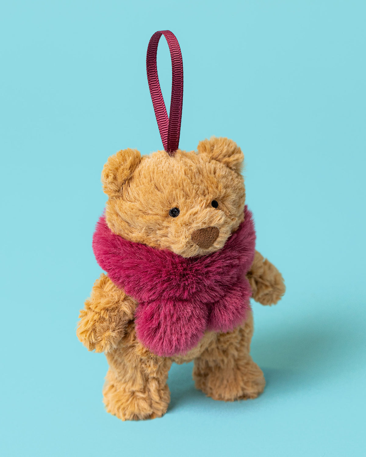 Bartholomew Bear Winter Warmer Decoration