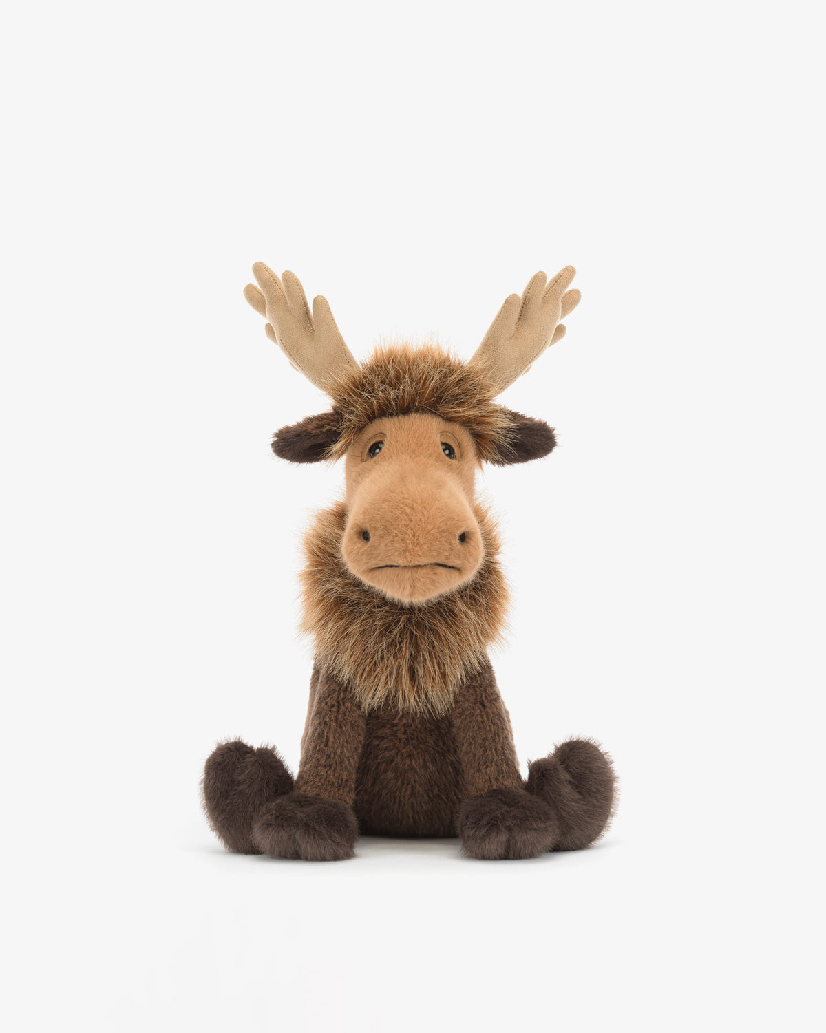 Birchly Moose