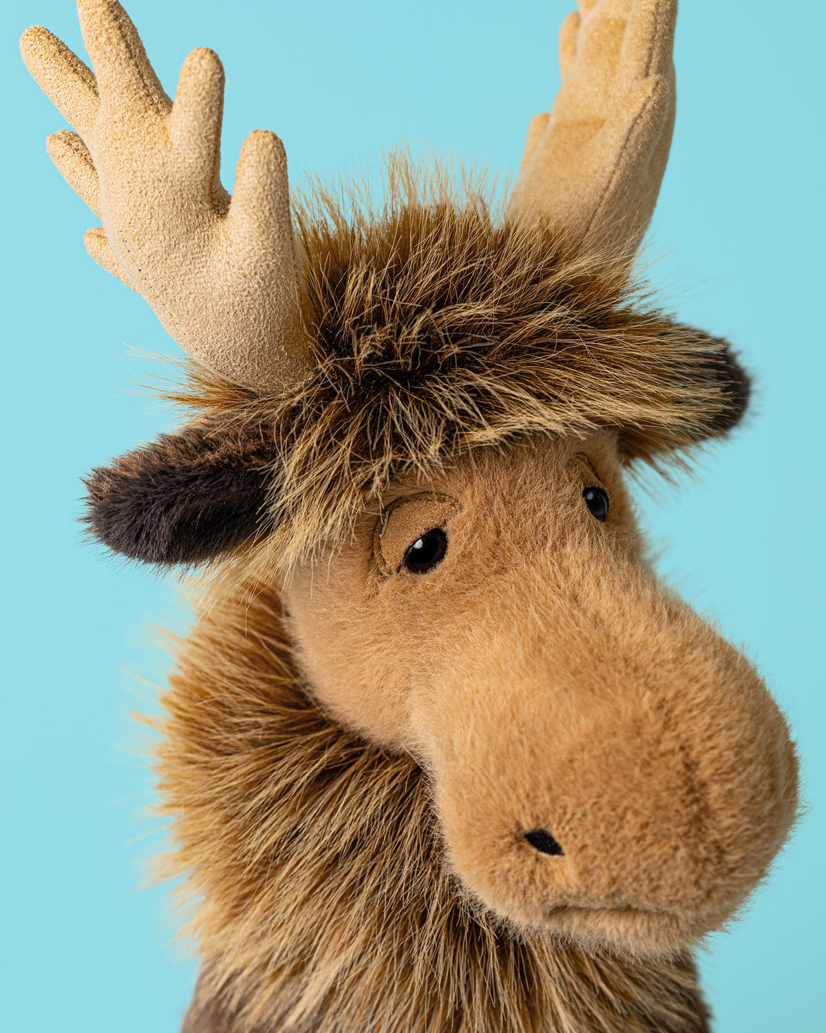 Birchly Moose
