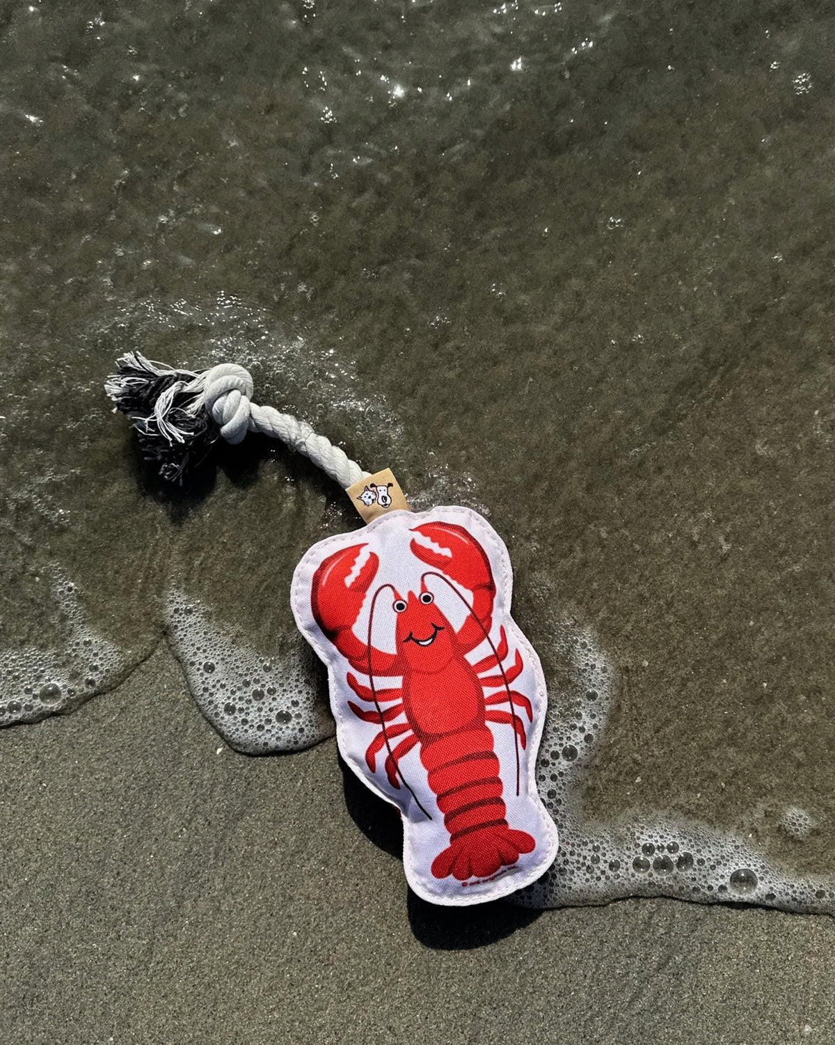 Lobster Rope Dog Toy