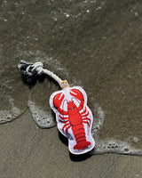 Lobster Rope Dog Toy