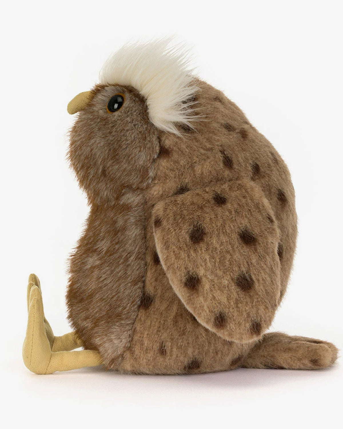 Tawoola Owl