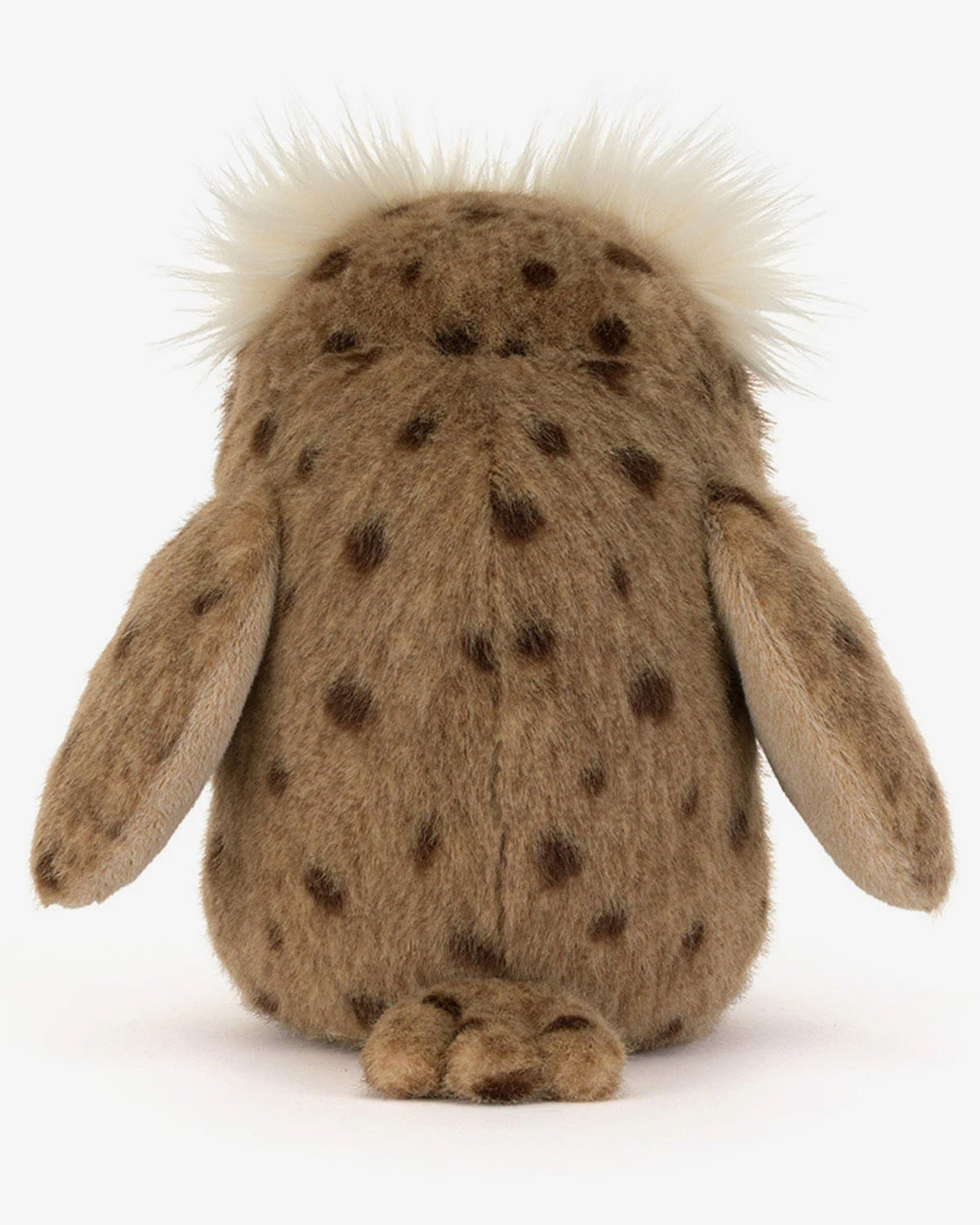 Tawoola Owl