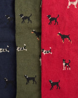 Assorted Dog Socks Gift Set - 3 Pack