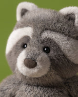 Trixiwoo Raccoon