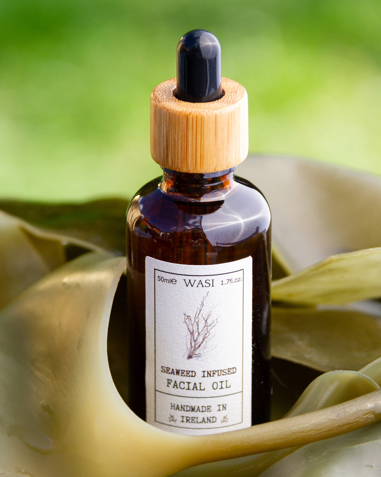 Seaweed Infused Facial Oil