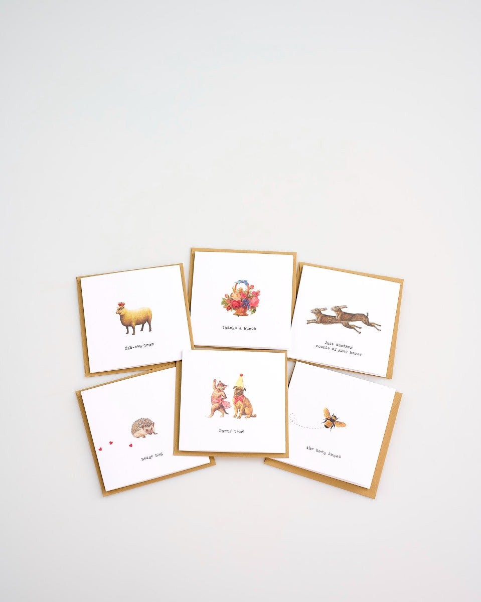 Assorted Greeting Card Collection - Pack of 6