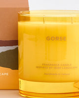 Gorse-Double-Wick-Fragrance-Candle