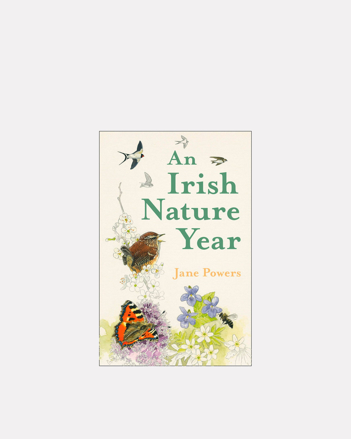 An-Irish-Nature-Year