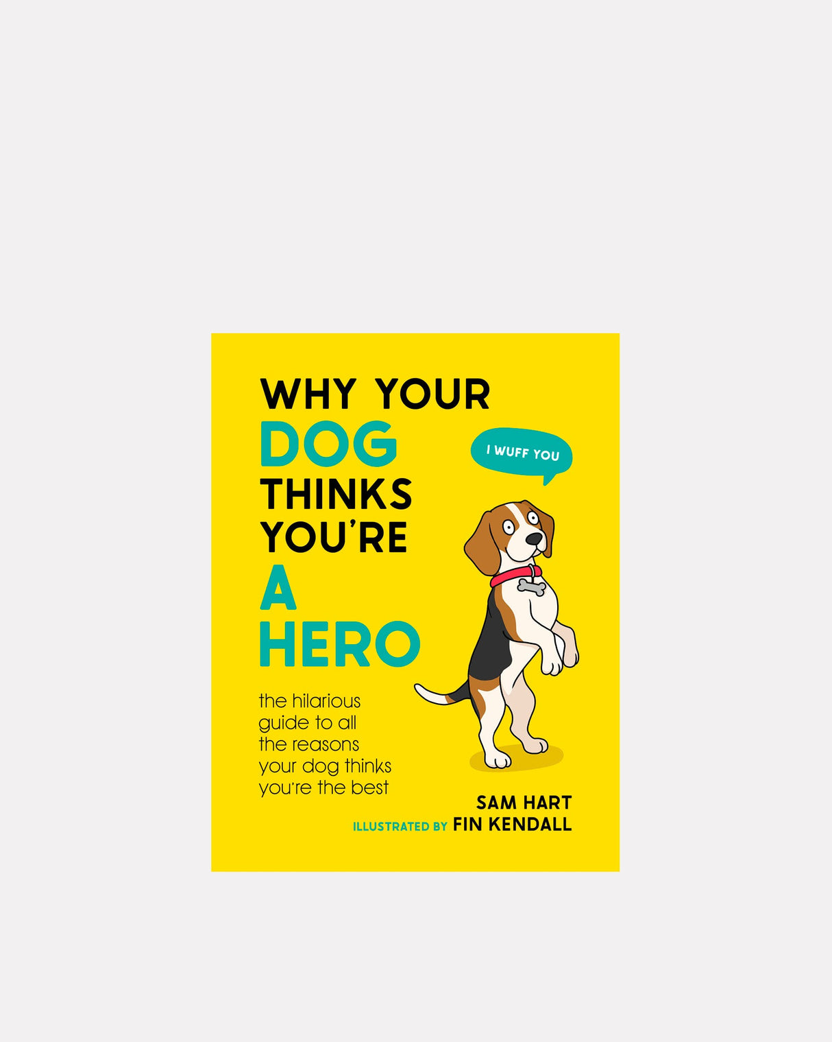 Why-Your-Dog-Thinks-Youre-a-Hero