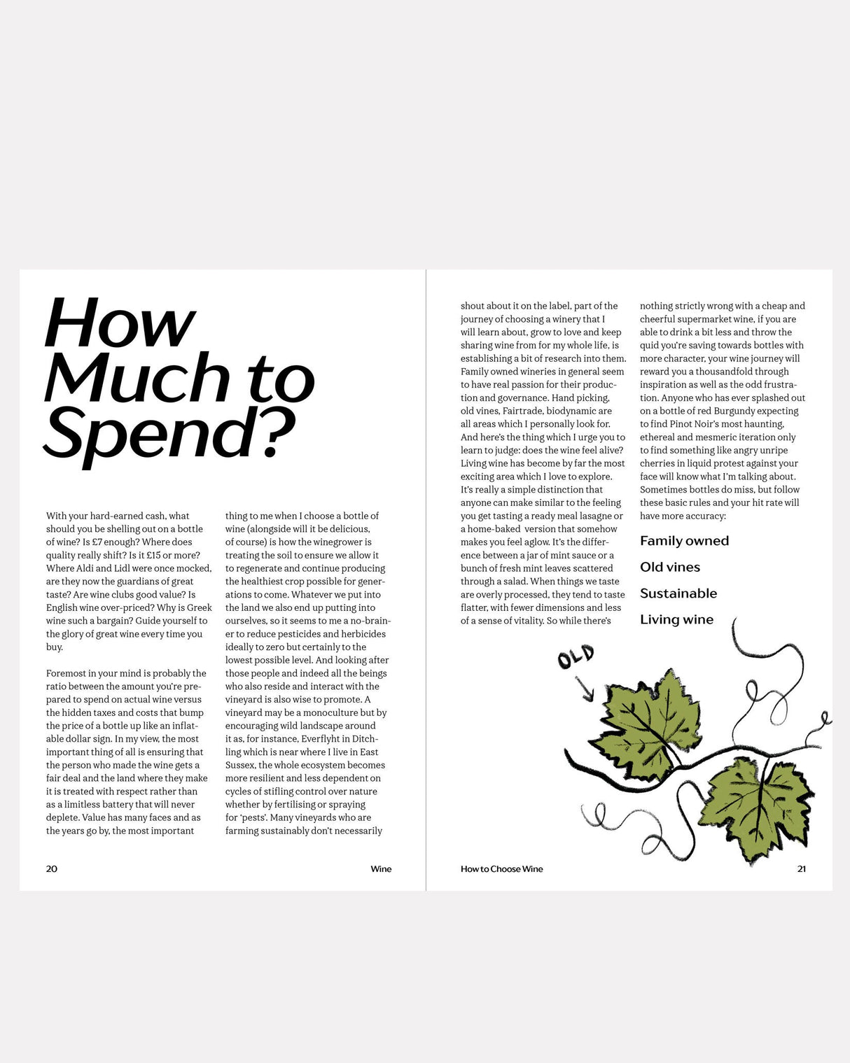 Wine, Everything You Need To Know