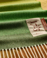 Ombre Tricolour Cashmere Blend Baby Blanket