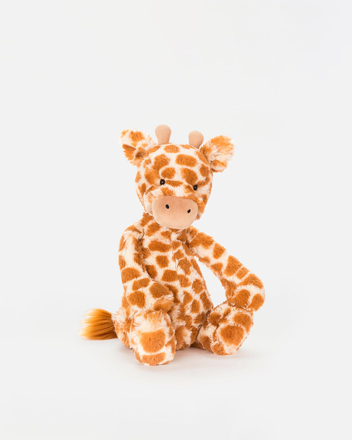 Bashful Giraffe