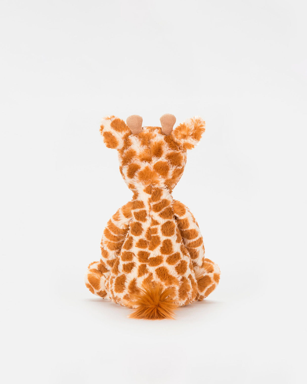 Bashful Giraffe