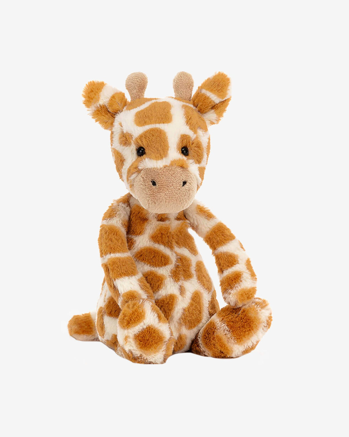 Bashful-Giraffe