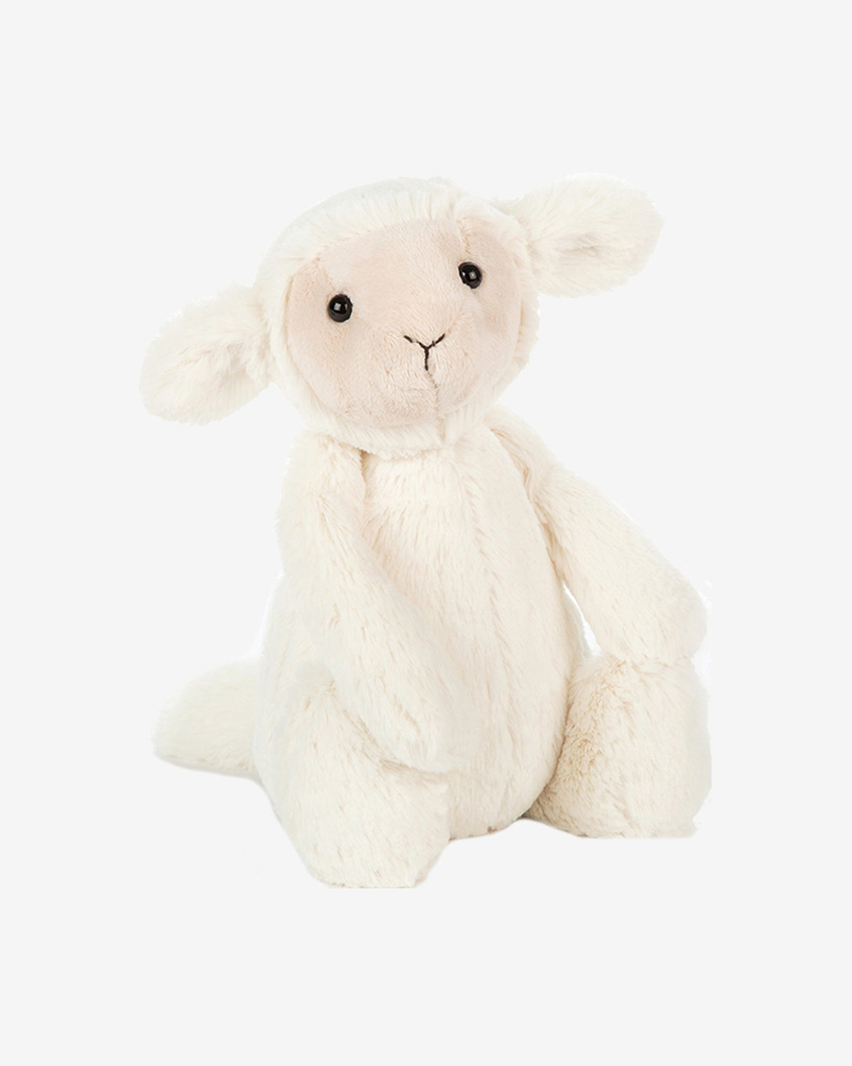 Bashful Lamb