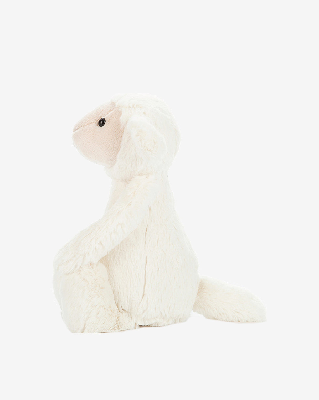 Bashful Lamb