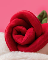 Rose Cream Bunny