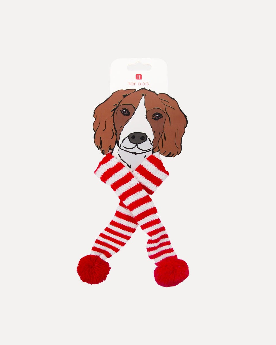 Top Dog Novelty Festive Striped Scarf