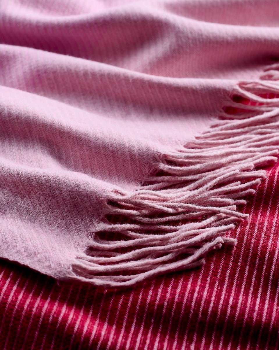 Ombre Rose Cashmere Blend Throw