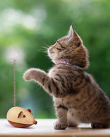 Wooden Mouse Cat Toy