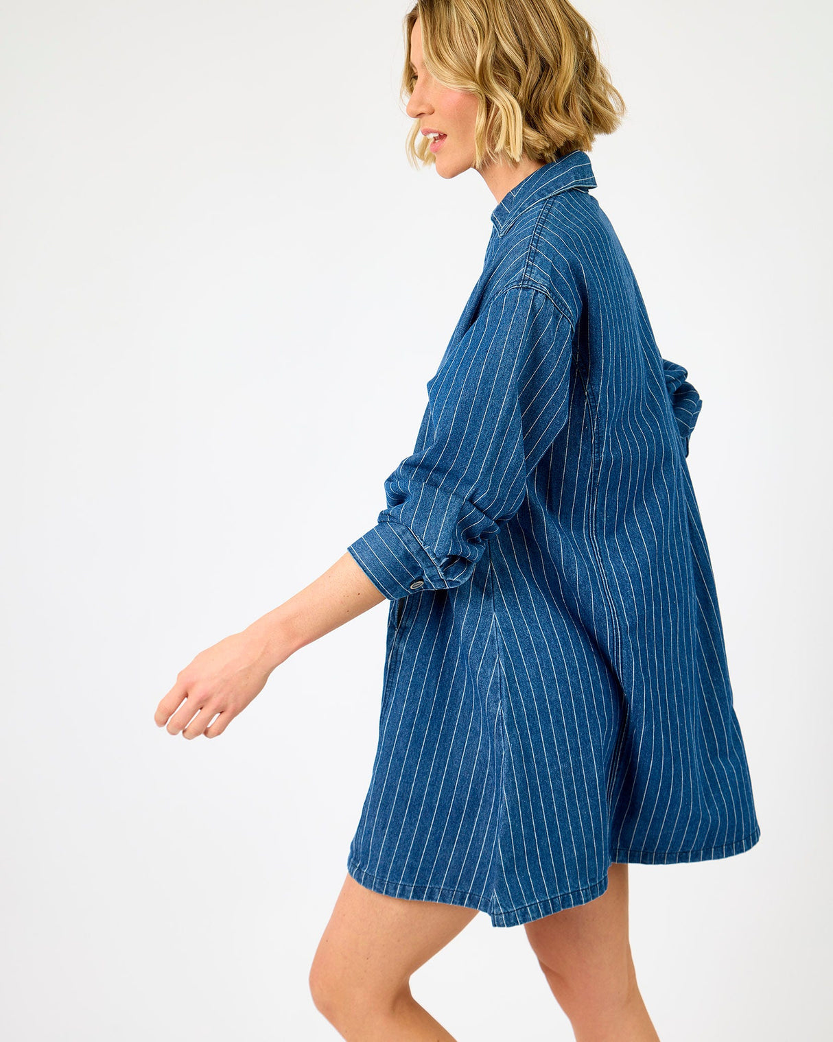 Blue-Stripe-Poseidon-Denim-Dress