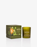 The-Land-of-Light-Seasonal-Spiced-Luxury-Candle