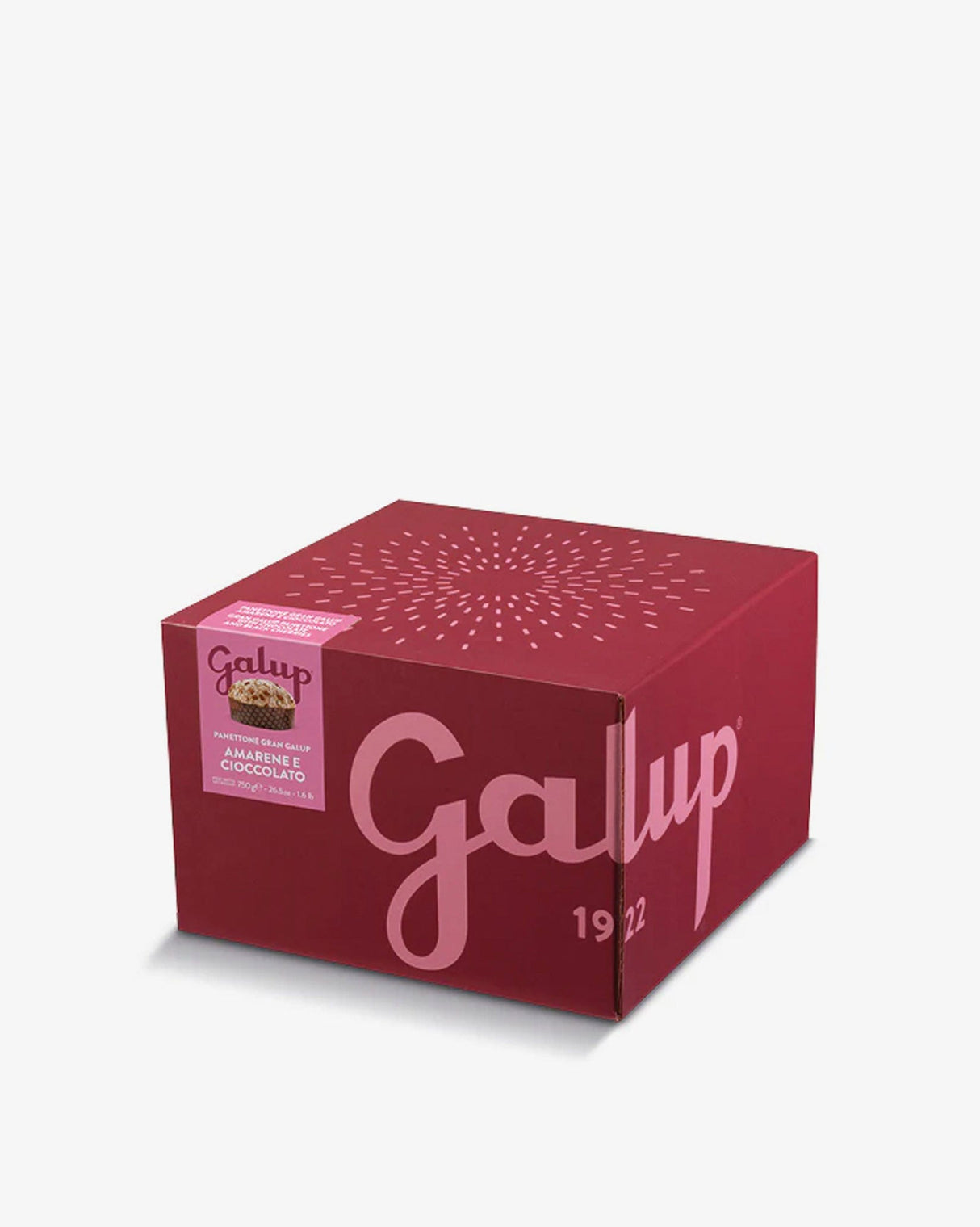 Galup-Black-Cherries-Chocolate-Panettone