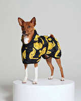Black-All-Smiles-Dog-Poncho