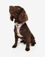Taupe-Pink-Tartan-Cushioned-Dog-Harness