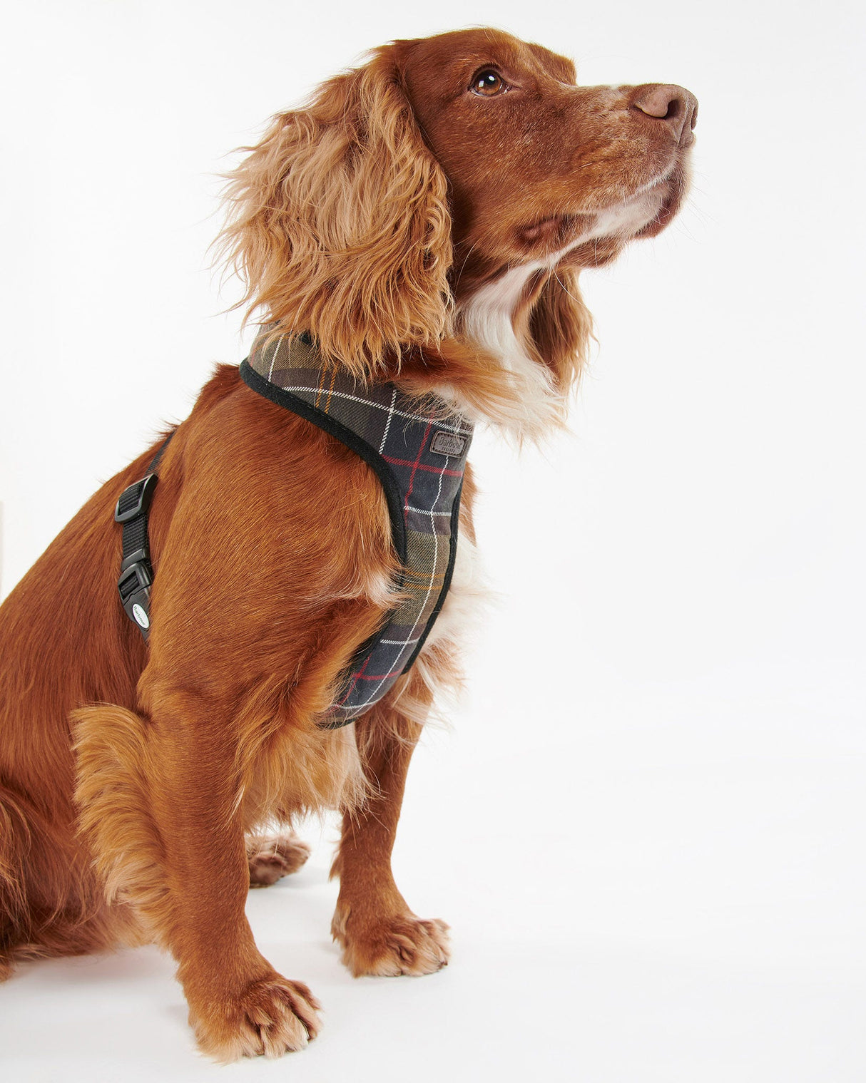 Classic-Tartan-Cushioned-Dog-Harness