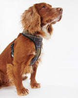 Classic-Tartan-Cushioned-Dog-Harness