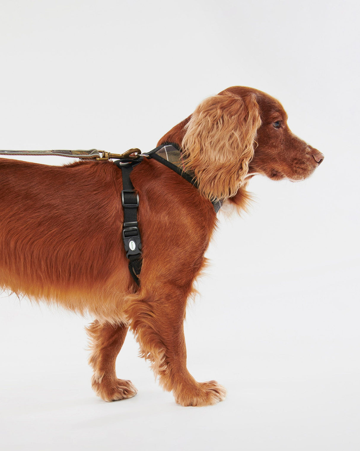 Classic-Tartan-Cushioned-Dog-Harness