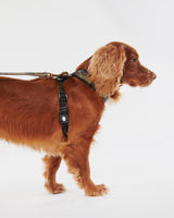 Classic-Tartan-Cushioned-Dog-Harness